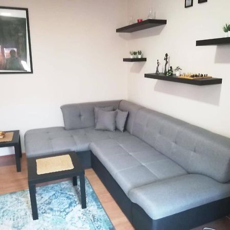 Viki Apartment Centar Ниш Экстерьер фото
