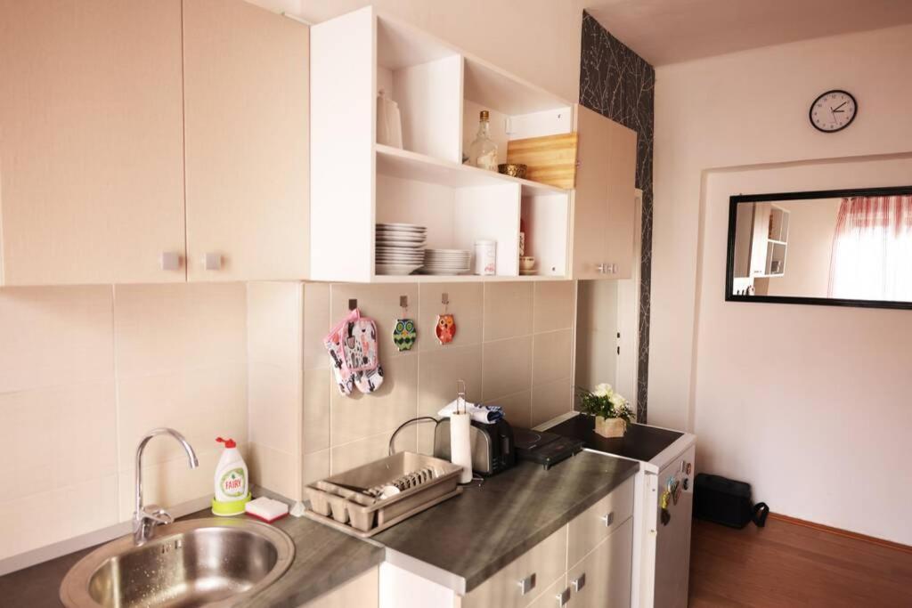 Viki Apartment Centar Ниш Экстерьер фото