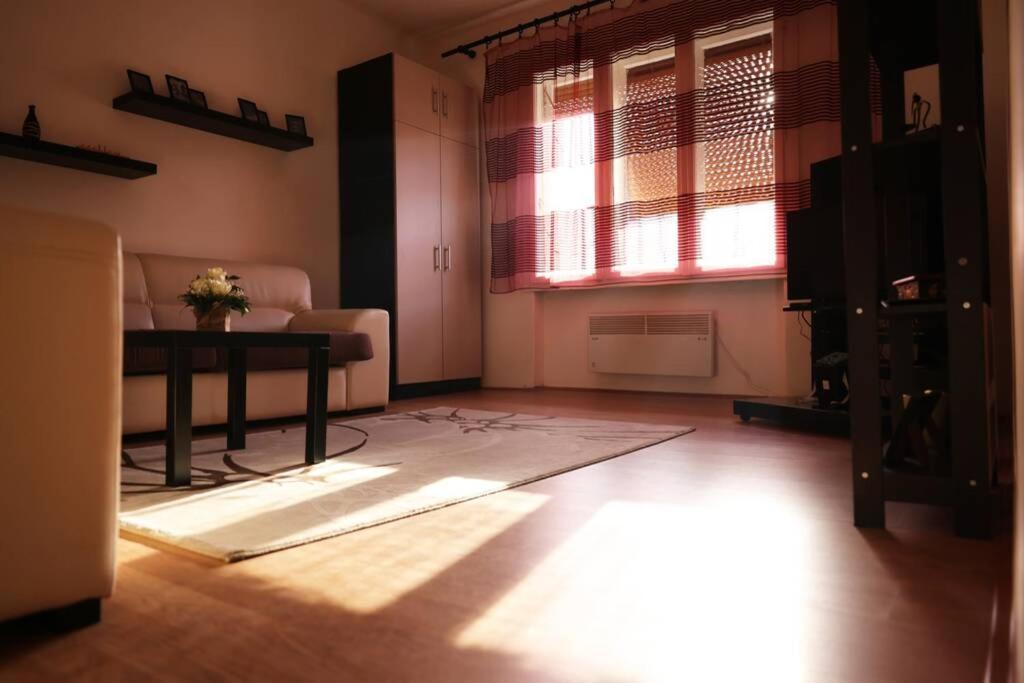 Viki Apartment Centar Ниш Экстерьер фото