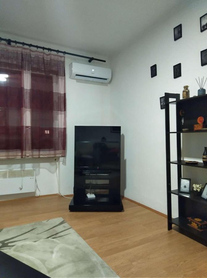 Viki Apartment Centar Ниш Экстерьер фото